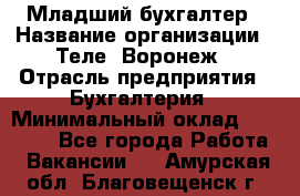 Младший бухгалтер › Название организации ­ Теле2-Воронеж › Отрасль предприятия ­ Бухгалтерия › Минимальный оклад ­ 28 000 - Все города Работа » Вакансии   . Амурская обл.,Благовещенск г.